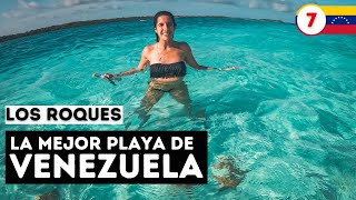 Así es el CARIBE VENEZOLANO 🔥 Llegamos a LOS ROQUES una de las MEJORES PLAYAS del mundo 🌎 Ep7 [upl. by Stillman]