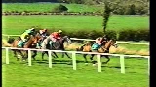 1997 Jameson Irish Grand National Handicap Chase [upl. by Sarita]