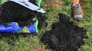 How to Repair Yard Sinkholes  Designed Landscapes [upl. by Alvan]