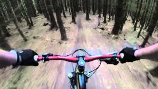 lennox forest mountain biking glasgow [upl. by Musser]