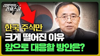 한국 주식만 크게 떨어진 이유 앞으로 대응할 방안은 [upl. by Brenn]