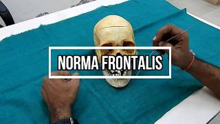 Norma Frontalis [upl. by Babs]