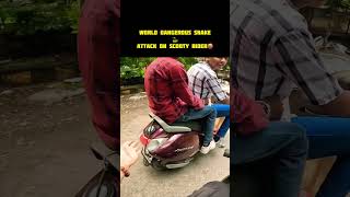 World Dangerous Snake Attack On Scooty Rider 🤬 shorts viralshort trendingshorts shortsfeed [upl. by Carlotta]