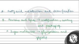 Which is the important site of formation of glycoproteins and glycolipids in eukaryotic cells [upl. by Kcirddot]