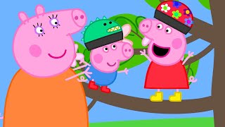 Peppa and George Climb a Tree 🌳  Peppa Pig Official Full Episodes [upl. by Deerdre364]