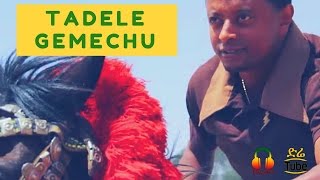 ETHIOPIA Tadele Gemechu  BarriHindarba Ethiopian Music Video 2017 [upl. by Elocn71]