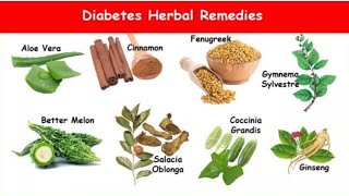 Top 5 plants for diabetes  how to low your sugar levelhealthtime6469 [upl. by Eibo]