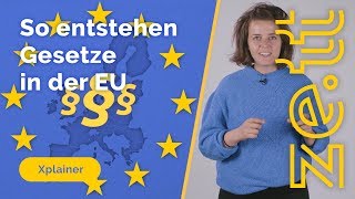 So entstehen Gesetze in der Europäischen Union [upl. by Roxi99]