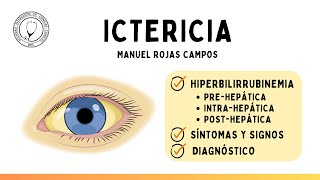 ICTERICIA Mecanismos de hiperbilirrubinemia fisiopatología Síntomas y Diagnóstico  Semiología [upl. by Philbrook]