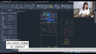 立面図の作成『第74回 建築CAD検定2級 検定試験』 [upl. by Kozloski]