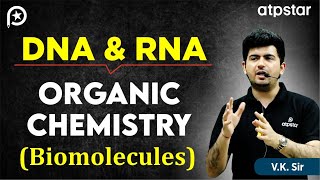 DNA and RNA in Biomolecules  Organic Chemistry  IIT JEE amp NEET  Vineet Khatri Sir  ATP STAR Kota [upl. by Trista157]