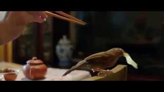 The Nightingale  Le Promeneur doiseau 2014  Trailer French Subs [upl. by Sehcaep694]