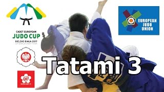 Cadet European Judo Cup Bielsko Biała 21 05 2017 Tatami III [upl. by Sosthina]