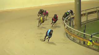 Rockhampton11092024Race1 [upl. by Adelind]