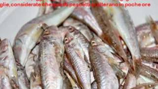 Frittura di calamari gamberi rossi e per fortuna fragagli di triglia [upl. by Ayra]