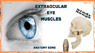 Extraocular Eye Muscles  Study Songz  4 Rectus and the 2 Obliques [upl. by Pendleton]