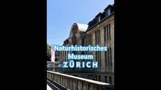 Naturhistorisches Museum Switzerland 🇨🇭 Zürich [upl. by Epoh526]