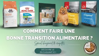 🐶 Comment faire une bonne transition de croquettes  POMERANIAN chihuahua loulou de Poméranie [upl. by Hyacinthie]