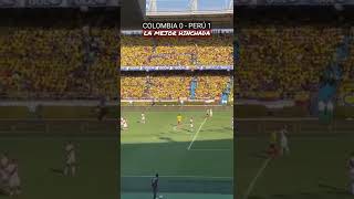 La Mejor Hinchada  Colombia 0  Perú 1 [upl. by Tye]