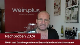 Nachproben 2024  Weiß und Grauburgunder und Deutschland und der Steiermark [upl. by Geraint]