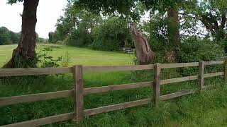 Springwell farm views of the Colne Valley and horses 🐎 [upl. by Beaulieu894]