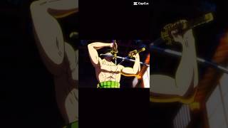 Roronoa Zoro vs King the Wildfire 🗡️⚔️🔥 onepiece roronoazoro anime animeedit piratehunter [upl. by Karlens]