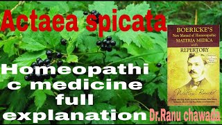 homoeopathy Actaea spicata homeopathic medicine full explanationboerick materia medica [upl. by Esiled]