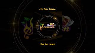 Mix Piel Canela  Son Del Duke En Vivo Pista [upl. by Nylirad219]