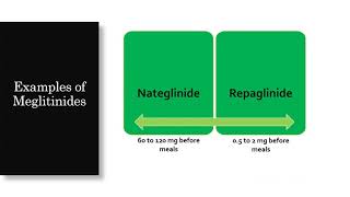 Meglitinides Diabetes Medication [upl. by Edeline730]