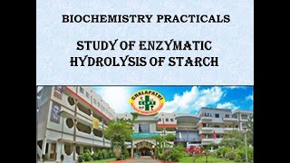 Study of Enzymatic Hydrolysis of Starch [upl. by Aramoj]