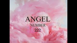 Angel Number 222 Attunement  Soulmate Love  Omniminal [upl. by Tayyebeb]