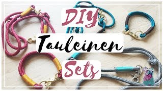 DIY TAULEINE  TAUHALSBAND für den HUND  frauchensliebling [upl. by Nazarius]