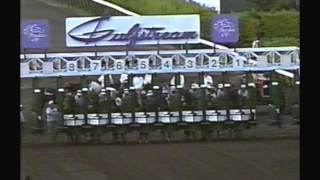 1989 Breeders Cup Classic  Sunday Silence  Pre amp Post Race [upl. by Schoening617]