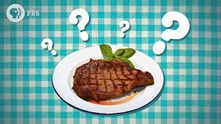 Should You Let Meat Rest  Serving Up Science [upl. by Elicia]