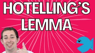 Master Hotellings Lemma in 2 Minutes  Micro Struggle [upl. by Wilinski534]