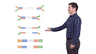 Next Generation Sequencing 2 Illumina NGS Sample Preparation  Eric Chow UCSF [upl. by Lulu352]