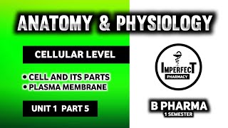 Cell  Parts Of Cell  Human Anatomy And Physiology  HAP  B Pharma First Semester [upl. by Ani]