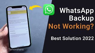 WhatsApp Backup and Restore Not Working Best Solution [upl. by Fital226]