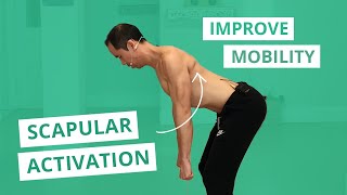 3Way Scap Circles Scapular Muscle Activation amp Mobility Exercises [upl. by Sumedocin]