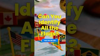 CAN YOU IDENTIFY ALL THE FLAGS Ultimate Word of Flags Quiz Pt1 quiz flag geography shorts [upl. by Lamag]