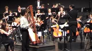 Tzigane de Ravel Romain Daron violon [upl. by Mossman178]