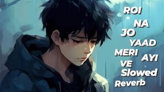 ROI NA JO YAAD MERI AYI VE  SLOWED AND REVERB NEW SAD SONG  bollywood BOLLYWOOD LOFI SONG [upl. by Ateuqal]