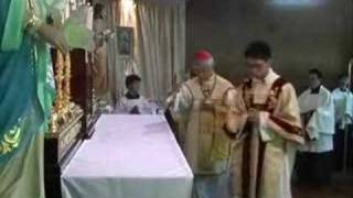 Cardinal Zen Pontifical Mass in Latin Part 1 [upl. by Paloma9]