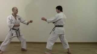 Heian Yondan  Shotokan Kata Bunkai [upl. by Mansoor]