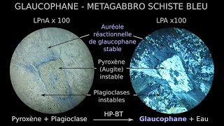 Glaucophane amphibole sodique HP BT dans métagabbro du faciès des schistes bleus LPnA vs LPA x100 [upl. by Thetos]