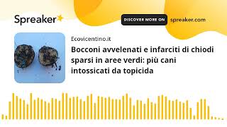 Bocconi avvelenati e infarciti di chiodi sparsi in aree verdi più cani intossicati da topicida [upl. by Gnik]