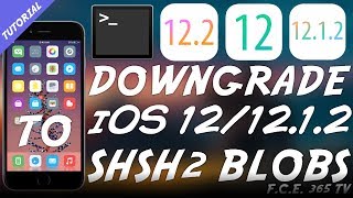 How To Downgrade  Upgrade To iOS 1212  122 Using FutureRestore SHSH2 Blobs Tutorial [upl. by Thebault63]