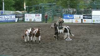 Trick Rider Sally Bishop at 2016 Pincher Creek Pro Rodeo [upl. by Ronni]