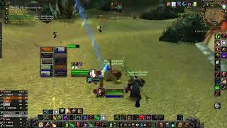 Classic Wow Sod Warsong Druid FC Pov [upl. by Saire]