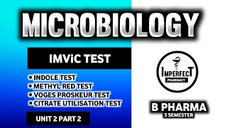 IMViC Test  Biochemical Tests  Microbiology  B Pharm 3rd Semester [upl. by Lattonia]